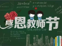 娱乐教师节,娱乐与敬意的完美融合
