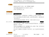 电子简历表格 个人简历,从电子简历到个人简历的华丽蜕变