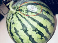 大理祥云网红吃瓜,揭秘大理美食新潮流