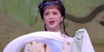 越剧啼笑姻缘,啼笑姻缘的悲欢离合